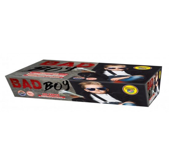 Bad Boy 3D label (WC)